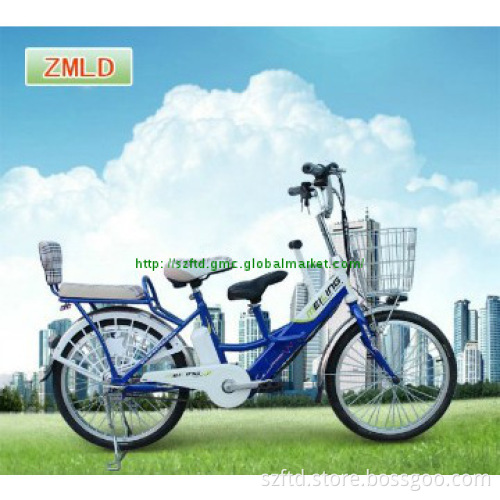 240w 48v lithium battery electric bicycle for three people